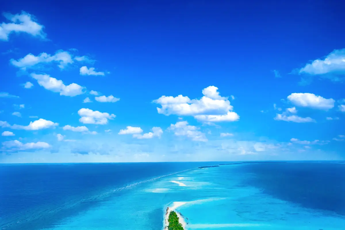 Dane z 142 przypadków: Statystyka nie kłamie