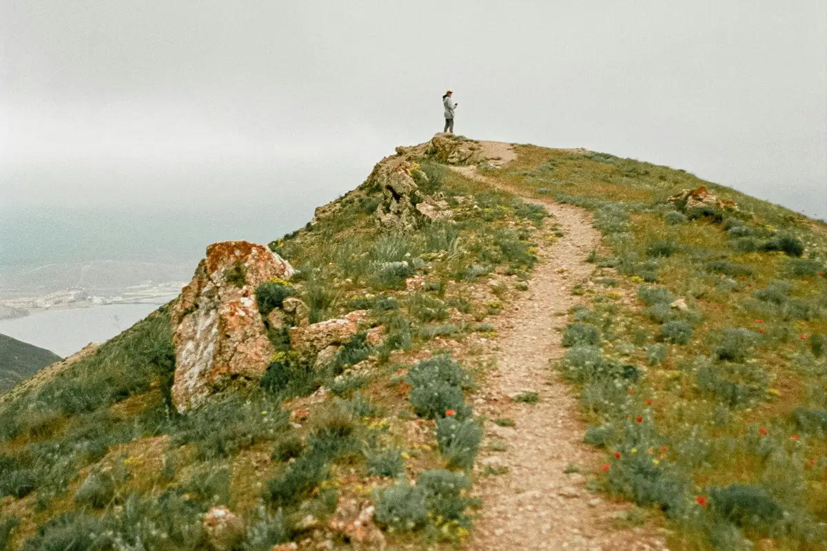 PESEL w KRS – realne zagrożenie